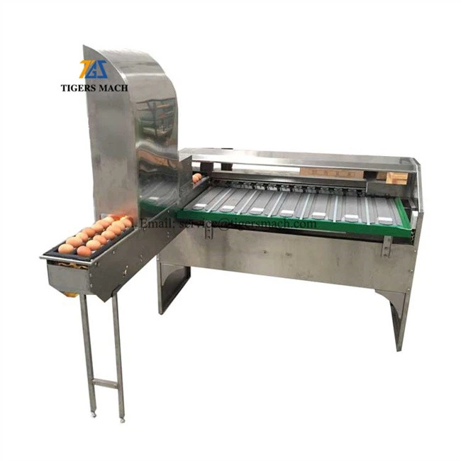 Discount price egg classification machine from automatic egg grading processing equipment (5)