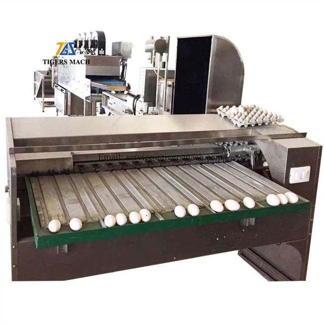 Discount price egg classification machine from automatic egg grading processing equipment (4)
