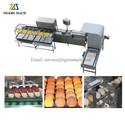 Elektronska mašina za jaja